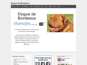 Dogues de Bordeaux : infos, santé, caractéristiques…