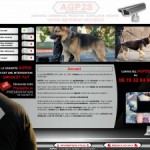 AGP2S, surveillance et protection à Nantes