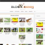 Blog canin pour les amoureux des chiens