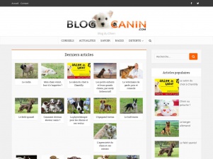 Blog canin pour les amoureux des chiens