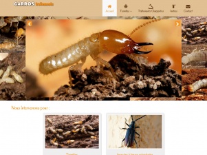 Traitement termites Landes (Mont-de-Marsan) – Garros Traitements